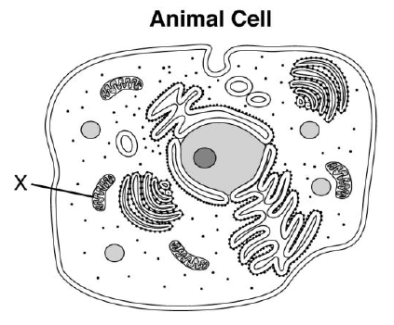 Screen shot 2010-06-06 at 12